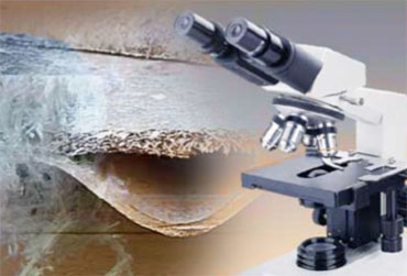 Asbestos Sampling and Analaysis